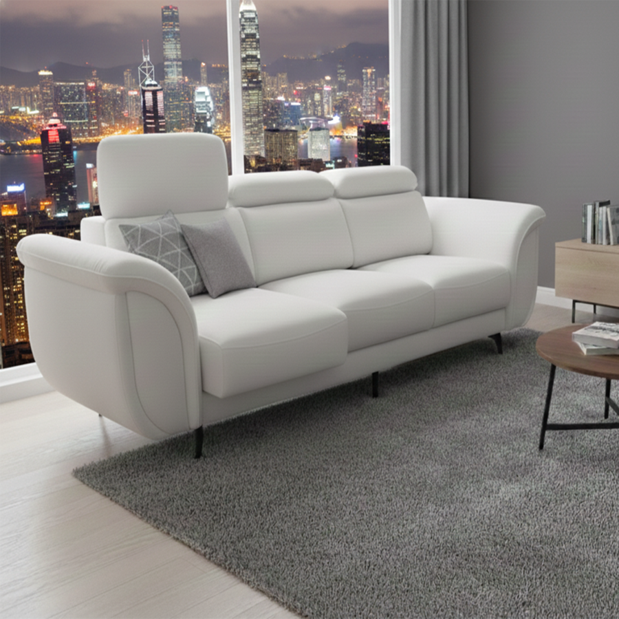 SF2041 - SLIDE OUT SOFA